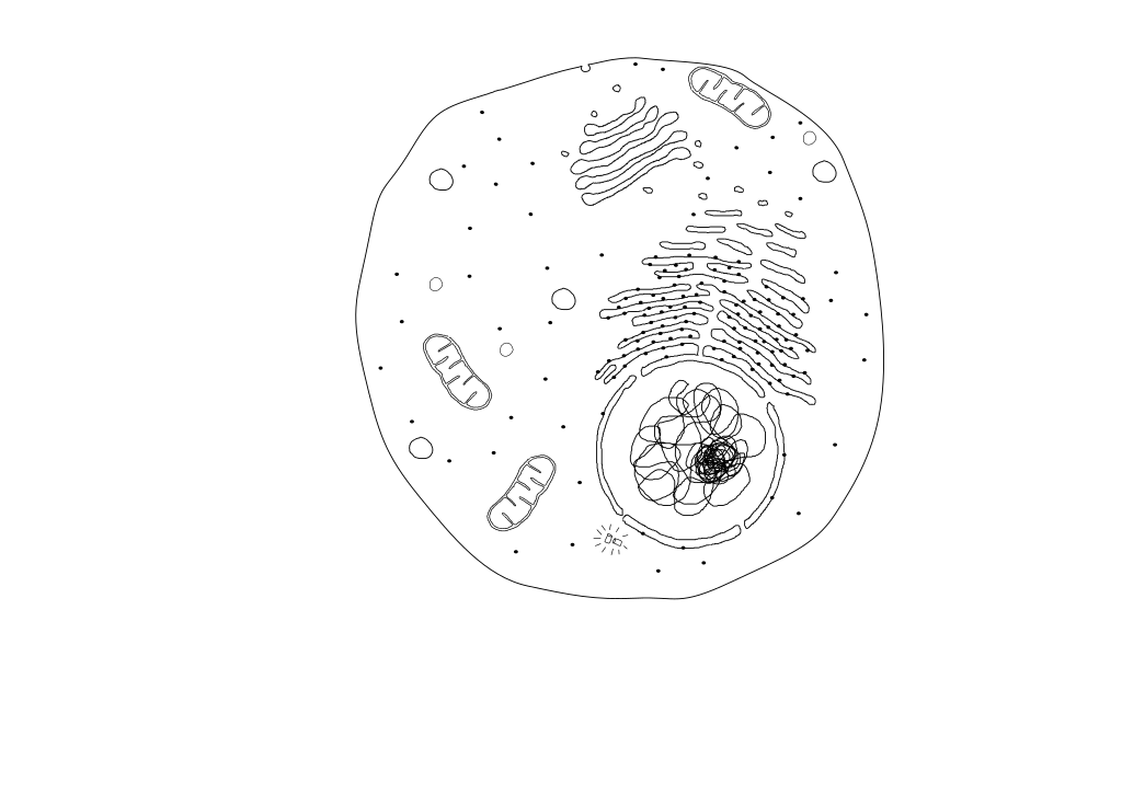 Cellule